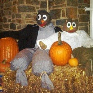 Meet your Posher, Misty